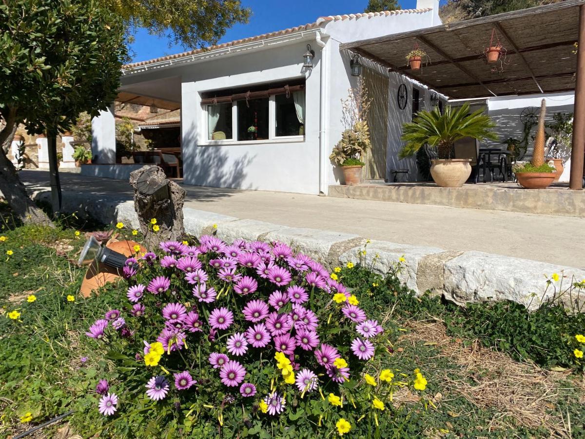 Casa El Saladillo Villa Valle de Abdalagís Exterior foto